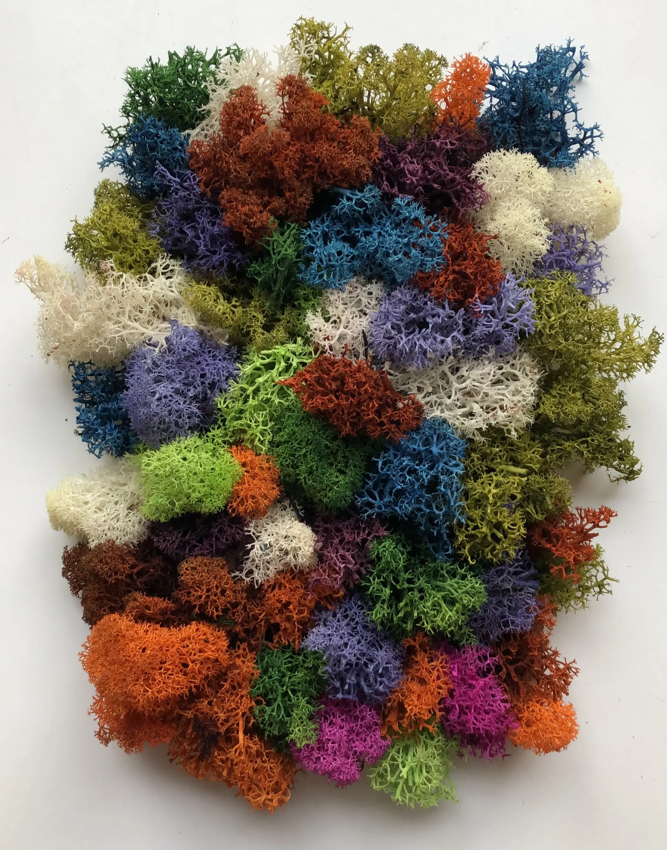 Quadro Lichene Multicolor